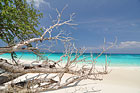 ทัวร์เกาะตาชัย สิมิลัน ทะเลใส ฟ้าสวย หาดทรายขาว